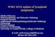 Who 2016 updated classification of lymphoid neoplasm