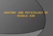 anatomy and physiology of middle ear spaces