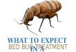 What to Expect in a Bed Bug Treatment
