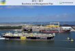 Petrobras Business and Management Plan 2013-2017 Webcast - March 19th