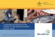 Sustainable development of fish supplies to meet food and nutrition security needs