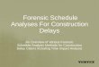 VERTEX Construction Delays and Forensic Schedule Analyses