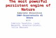 The most powerful persistent engine of Nature Gabriele Ghisellini INAF-Osservatorio di Brera Fabrizio Tavecchio, Laura Maraschi, Annalisa Celotti, Tullia