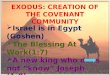 EXODUS: CREATION OF THE COVENANT COMMUNITY  Israel is in Egypt (Goshen)  The Blessing At Work(1:7)  A new king who does not “know” Joseph (1:8)  Ruthless