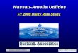 Nassau-Amelia Utilities FY 2008 Utility Rate Study Presented by: Andrew J. Burnham July 9, 2007 Nassau-Amelia Utilities