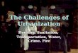 The Challenges of Urbanization Housing, Sanitation, Transportation, Water, Crime, Fire