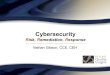 Cybersecurity Risk, Remediation, Response Nathan Gibson, CCE, CEH