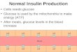 Normal Insulin Production Cells needs glucose Glucose is used by the mitochondria to make energy (ATP) After meals, glucose levels in the blood increase