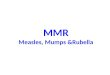 MMR Measles, Mumps &Rubella. Measles DEFINITION Measles is an acute highly contagious viral disease caused by measles Agent- RNA virus ( Paramyxo virus
