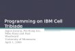 Programming on IBM Cell Triblade Jagan Jayaraj,Pei-Hung Lin, Mike Knox and Paul Woodward University of Minnesota April 1, 2009