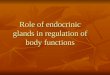 Role of endocrinic glands in regulation of body functions