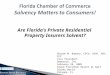 Are Florida’s Private Residential Property Insurers Solvent? Sharon M. Romano, CPCU, AIAF, ARC, CCP Vice President Demotech, Inc. February 24, 2009 Grand