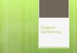 Organic Gardening.  Rodale’s  The organic gardener’s bible