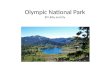 Olympic National Park BY Libby and Lily. Olympic National Park is located in Port Angeles Washington. The park is 1,400 square miles large. If you compare