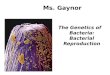 The Genetics of Bacteria: Bacterial Reproduction