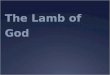 The Lamb of God. Isaiah 40:3  A voice cries out, “In the wilderness clear a way for the Lord; construct in the desert a road for our God