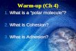 Warm-up (Ch 4) 1.What is a “polar molecule”? 2.What is Cohesion? 3.What is Adhesion?
