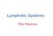 Lymphatic Systems The Thymus
