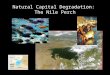 Natural Capital Degradation: The Nile Perch