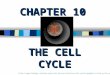 CHAPTER 10 THE CELL CYCLE