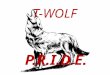 T-WOLF P.R.I.D.E.. T-WOLFPEExpectations DRESS DOWN EVERYDAY