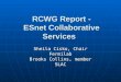 RCWG Report - ESnet Collaborative Services Sheila Cisko, Chair Fermilab Brooks Collins, member SLAC