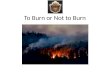 To Burn or Not to Burn. Wildfire Wildfire" is the term applied to any unwanted, unplanned, damaging fire burning in forest, shrub or grass and is one