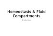 Homeostasis & Fluid Compartments By Sokha Kheam. Learning Objectives Explain the basic organization of the body, Define the fluid compartment of the body,