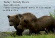 Today: Grizzly Bears Tours this week “Toxic Garbage Island” movie W 4/21 at 5pm in JES A121A