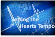 Setting the Heart’s Tempo Setting the Heart’s Tempo