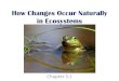 How Changes Occur Naturally in Ecosystems Chapter 3.1
