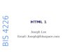 BIS 4226 HTML 1 Joseph Lee