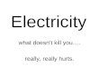 Electricity what doesn’t kill you…. really, really hurts