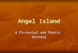 Angel Island A Pictorial and Poetic History. Gold Rush In the 1850’s, thousands of Chinese came to America in search of gold. Many American gold miners