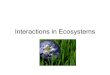 Interactions in Ecosystems. A habitat differs from a niche. A habitat is all aspects of the area in which an organism lives. –biotic factors –abiotic