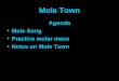Mole Town Agenda Mole Song Practice molar mass Notes on Mole Town