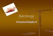 Serology O’Connor/Chapter 8. Typing of Blood Historically significant! Historically significant! Karl Landsteiner earned the Nobel Prize for his 1901