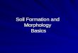Soil Formation and Morphology Basics