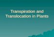 Transpiration and Translocation in Plants