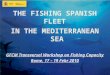 THE FISHING SPANISH FLEET IN THE MEDITERRANEAN SEA GFCM Transversal Workshop on Fishing Capacity Rome, 17 – 19 Febr 2010