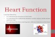 Heart Function Learning Objectives: