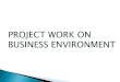 PROJECT WORK ON BUSINESS ENVIRONMENT