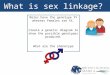 What is sex linkage? Males have the genotype XY whereas females are XX. Create a genetic diagram to show the possible genotypes produced. What are the