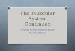 The Muscular System Continued Grade 12 Exercise Science Mr. MacMillan