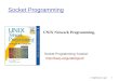 2: Application Layer 1 Socket Programming UNIX Network Programming,  Socket Programming Tutorial:
