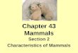 Section 2 Characteristics of Mammals