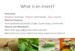 What is an insect? Taxonomy: Kingdom: Animalia Phylum: Arthropoda Class: Insecta Physical Features: Hard exoskeleton (adults), 6 legs, 3-part body, 2 antennae