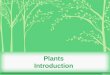 Plants Introduction