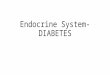 Endocrine System-DIABETES