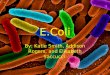 E.Coli By: Katie Smith, Addison Rogers, and Elisabeth Saccucci